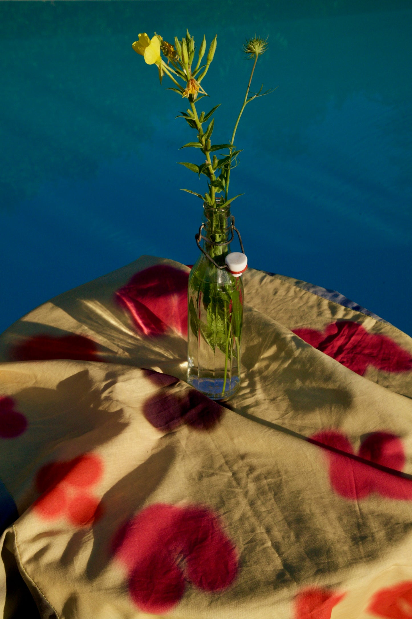 Tablecloth 1