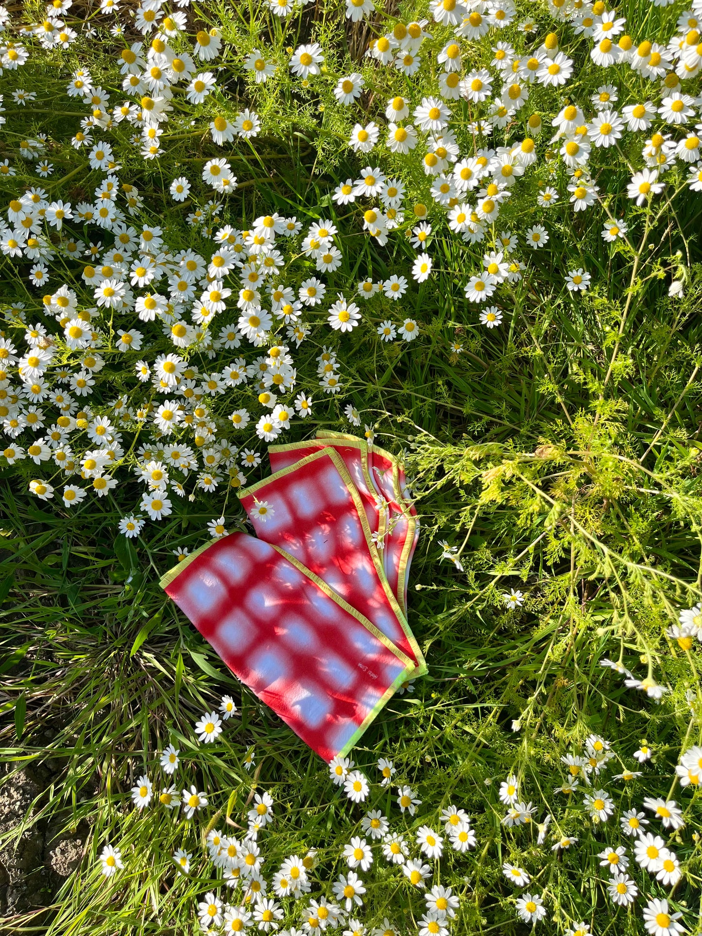Ruby Napkin