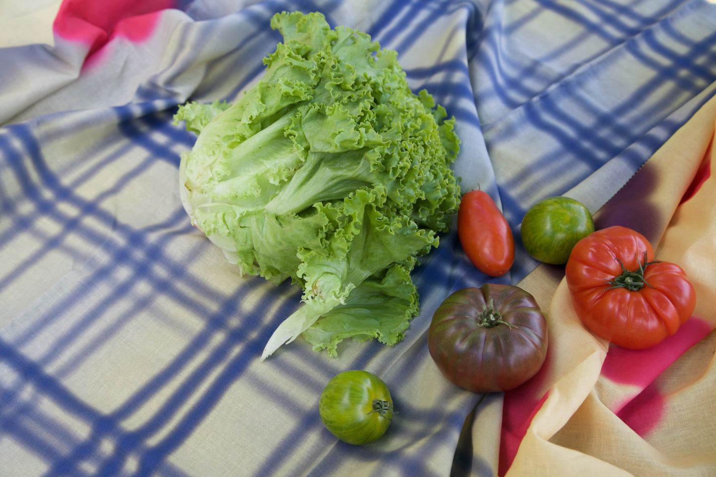 Tablecloth 1