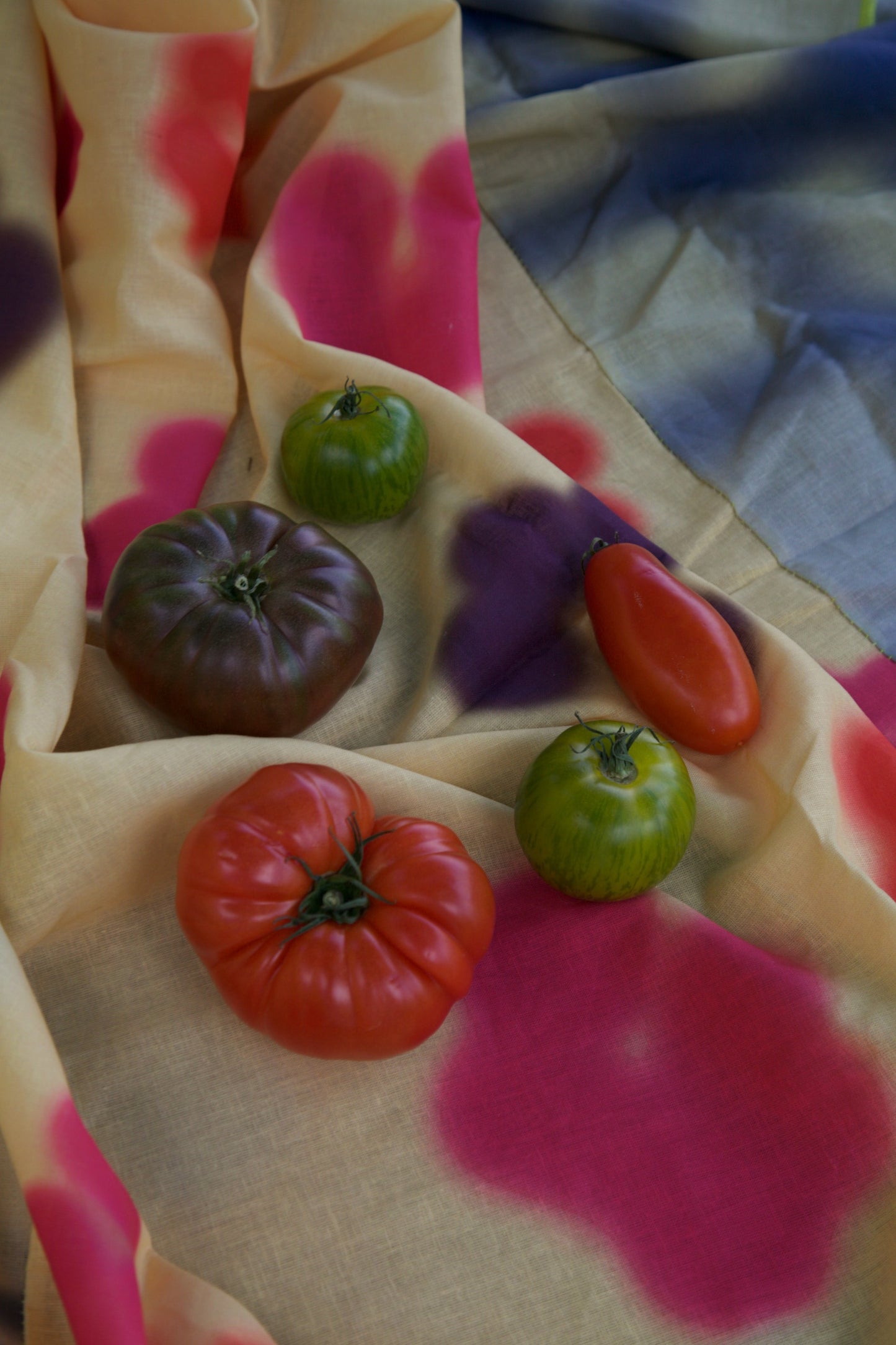 Tablecloth 1