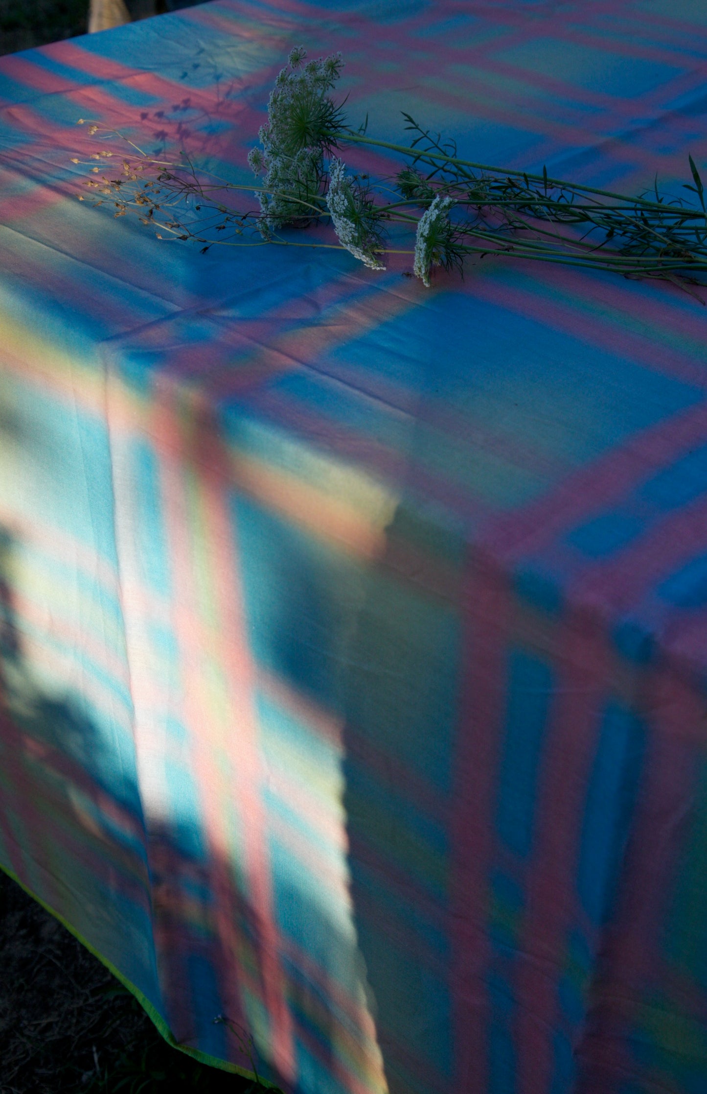 Tablecloth 5
