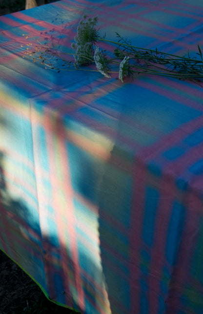 Tablecloth 5